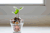 Ascensus Pooled Employer Plans (PEPs) Surpass $1 Billion in Assets Under Administration