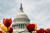 Washington Pulse: Interim Final Rule for Abandoned Plans Released