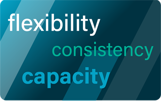 Flexibility Consistency Capacity